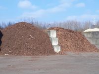 Kompost aus Grünschnitt- ein wichtiger Stoff für den Torfersatz